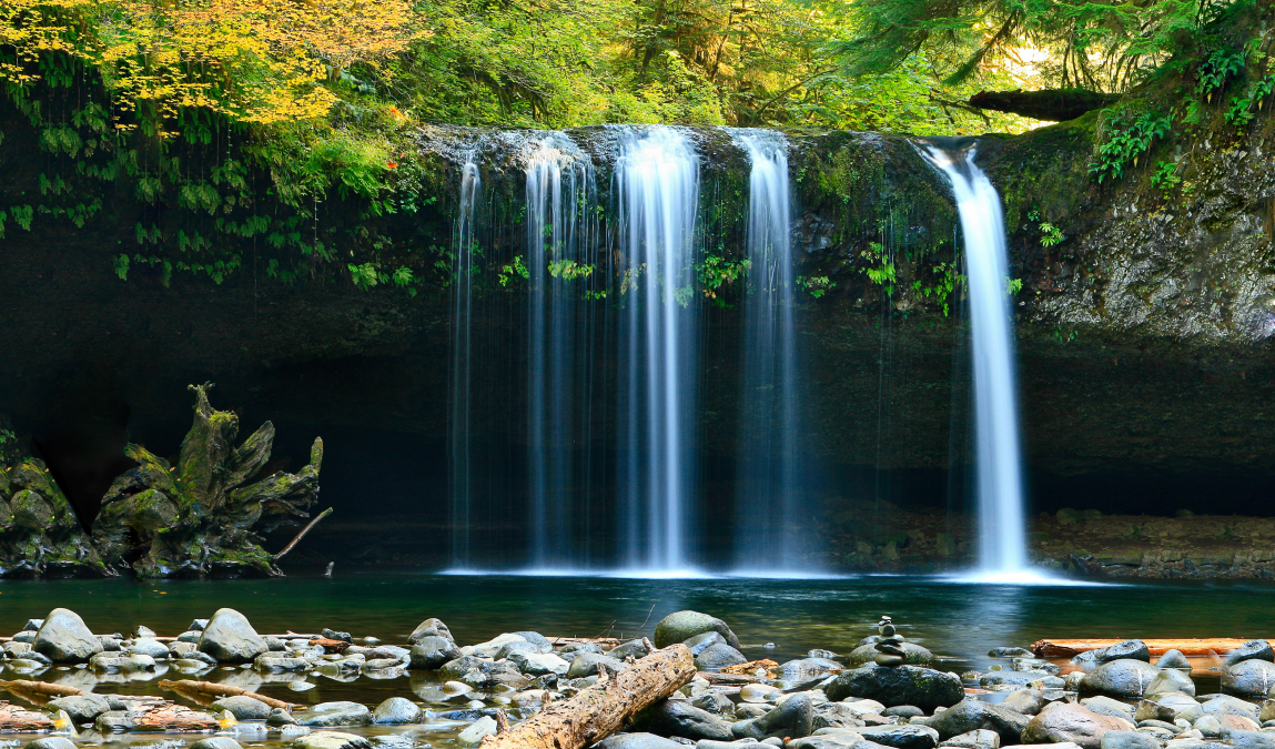 Food Photography on a Budget: $20 Work Light Vs. $900 Strobe