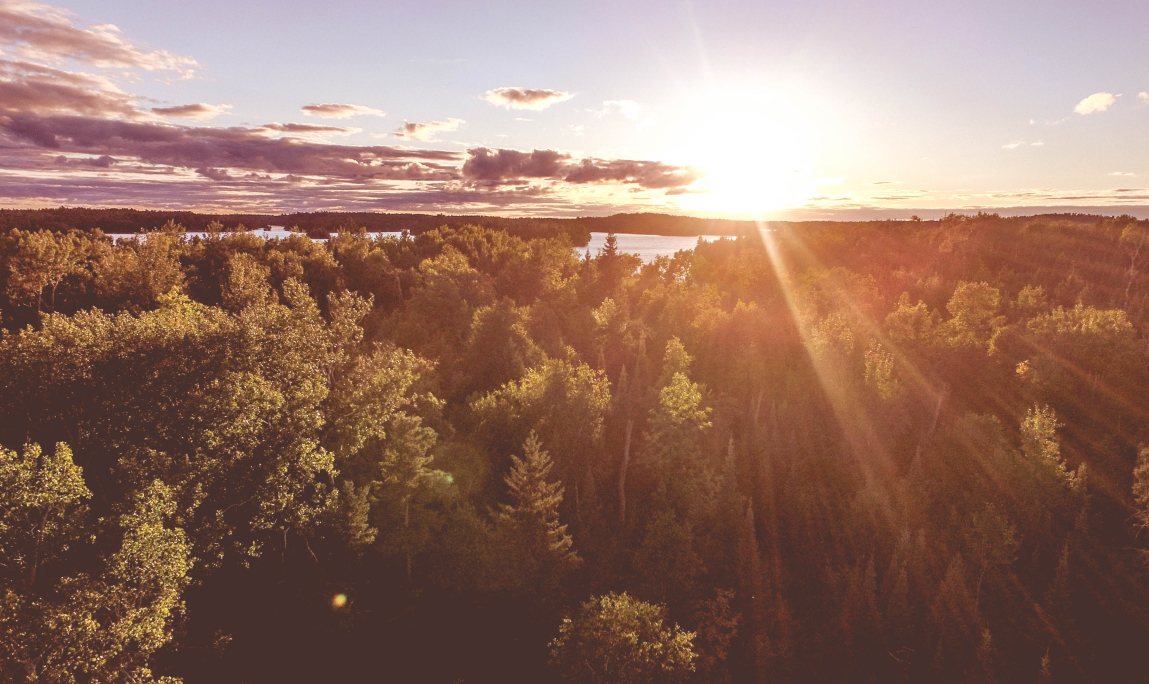 The Complete Guide to Wedding Photography Pricing