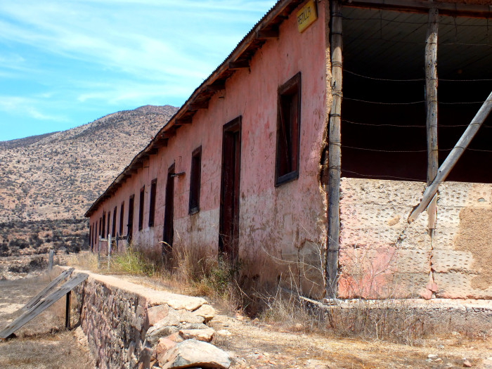 Mineral Margarita de Astillas