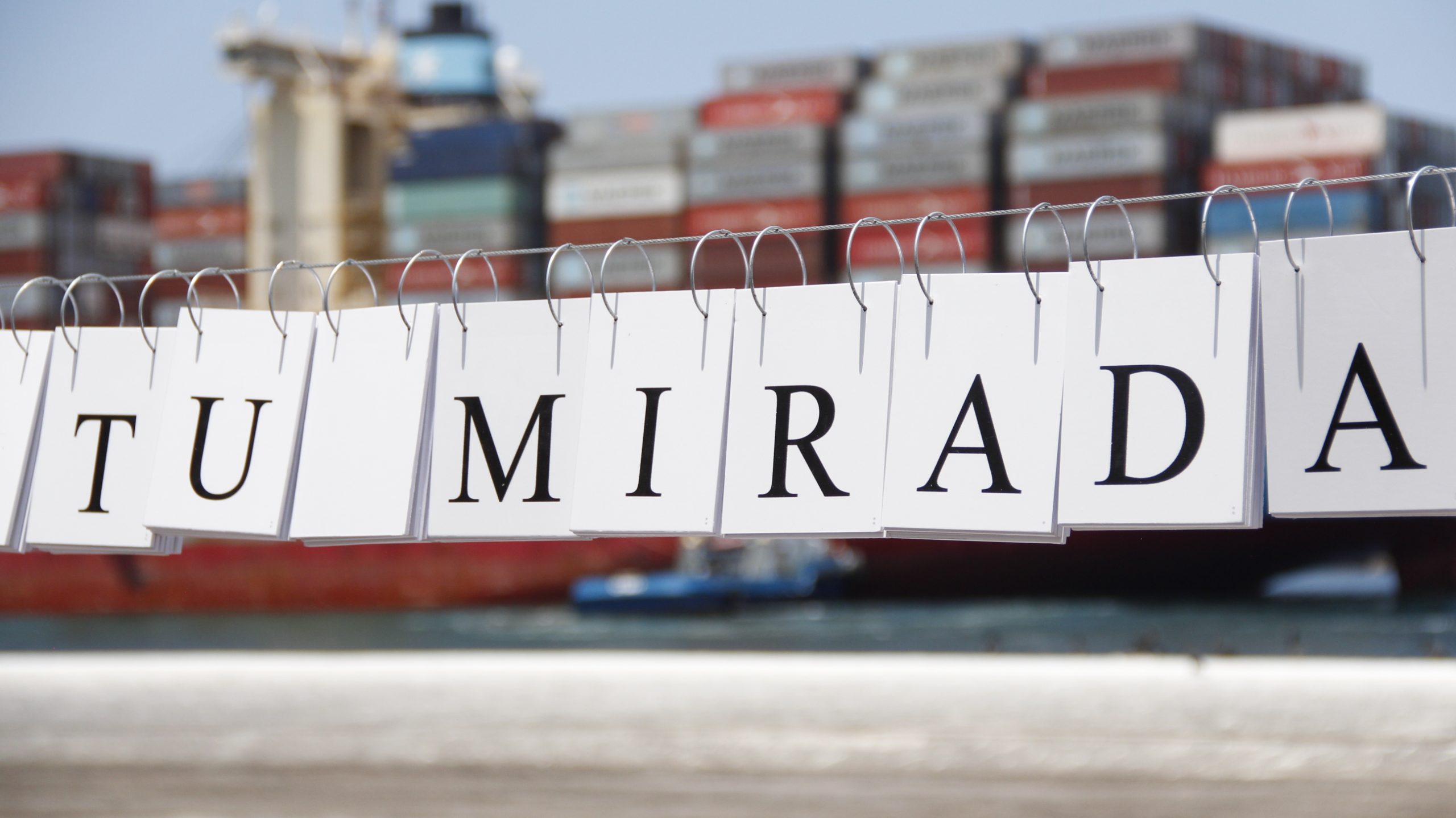 Ahora o nunca: SACO9 inauguró nueva exposición con acceso presencial para el público