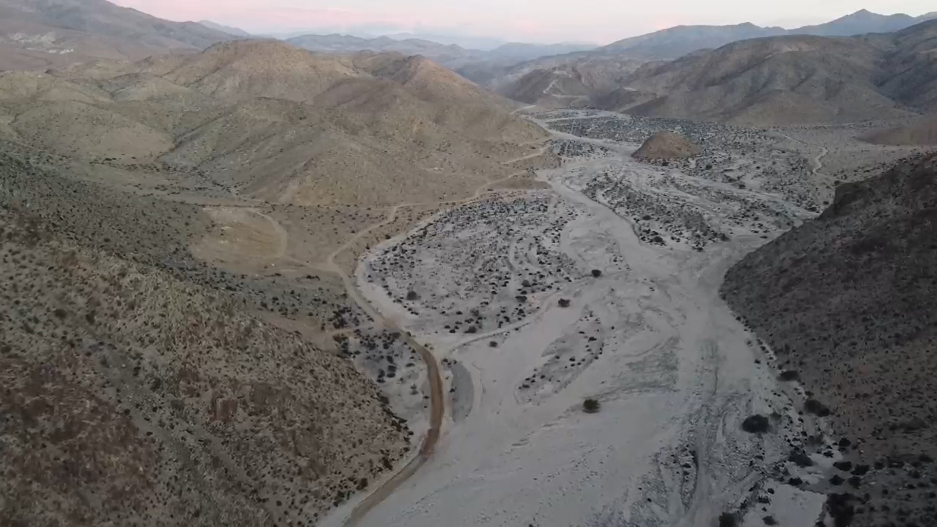 Construyen catálogo digital de la fauna de Atacama existente en tres sitios