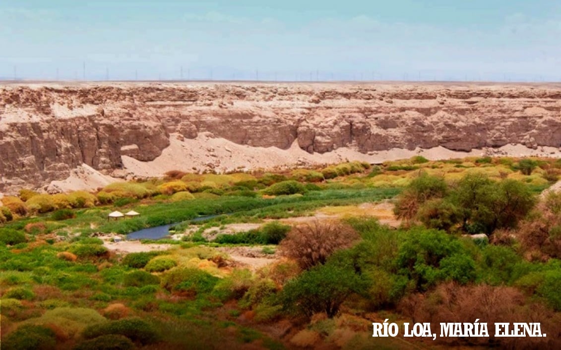 Leyendas y mitos pampinos: el Cabecita de Oro