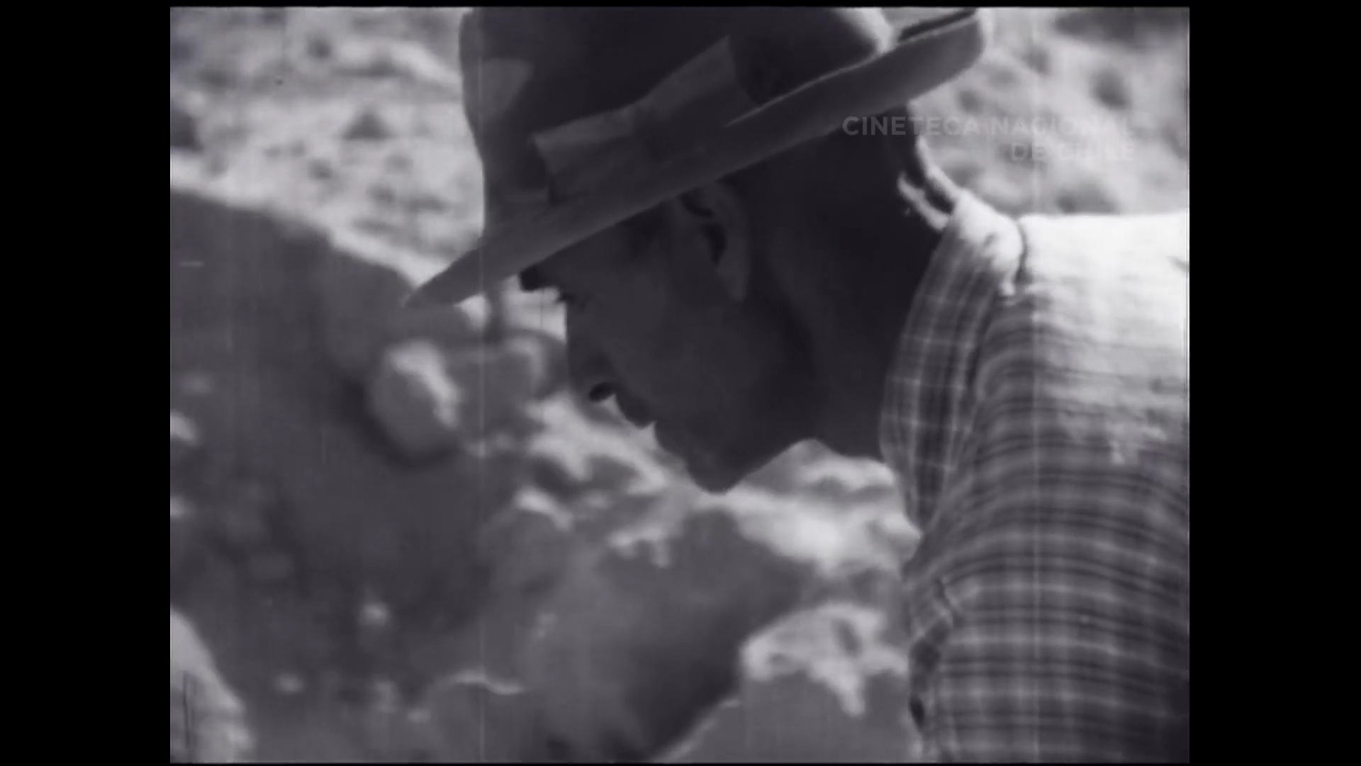 Foco de Claudia Huaiquimilla y homenaje a Pedro Chaskel destacan en el 13º Festival Internacional de Cine de Iquique