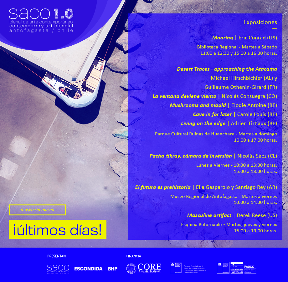 Quedan pocos días para disfrutar de la Bienal de Arte Contemporáneo SACO1.0