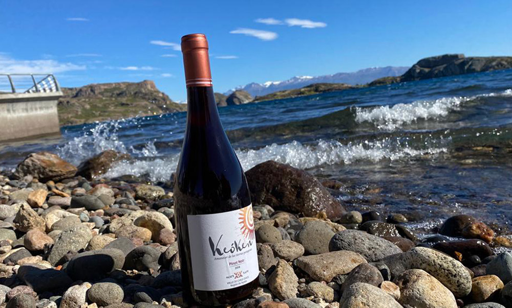 Enólogos, periodistas y especialistas de la industria del vino degustaron Keóken, el vino más austral del mundo