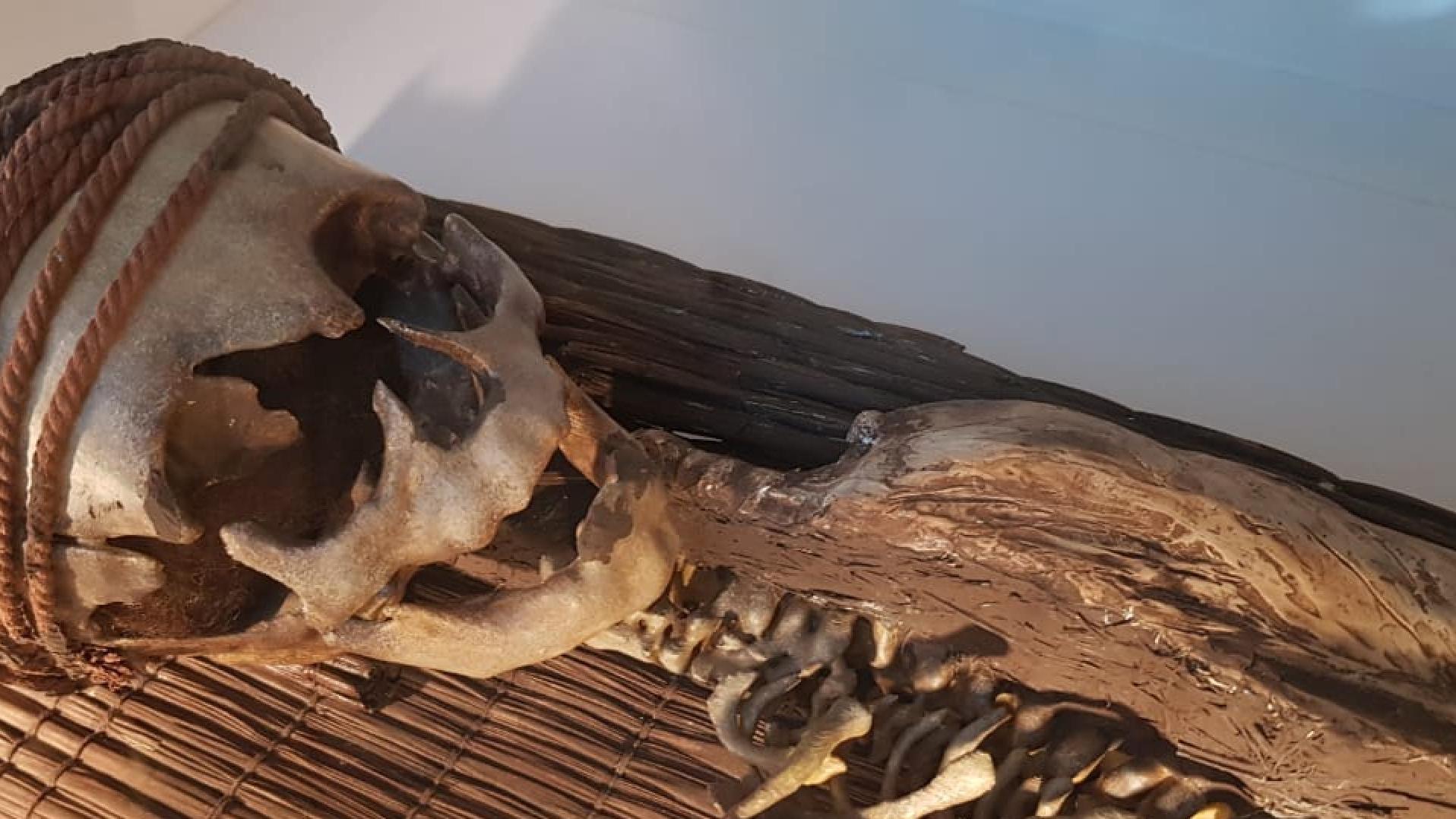Último mes de la exitosa exposición "Chinchorro, Trascender a la Muerte" en el Museo de Vicuña