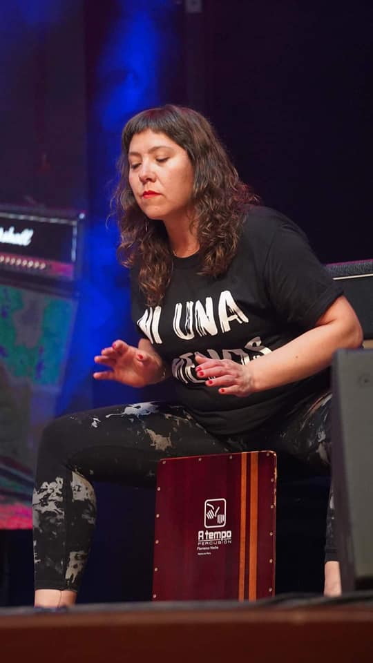 Más de 120 solistas y bandas de todo Chile participan en ciclo formativo Escuelas de Rock Mujeres Creadoras