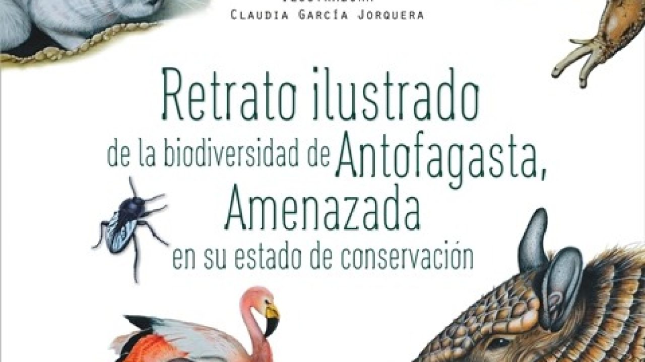 Exposición que muestra la biodiversidad y su estado actual se presentará en Biblioteca Regional de Antofagasta