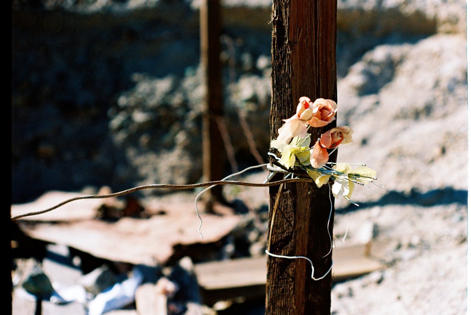 Veleidosa: La expo que establece relación entre la memoria, derechos humanos y fotografía