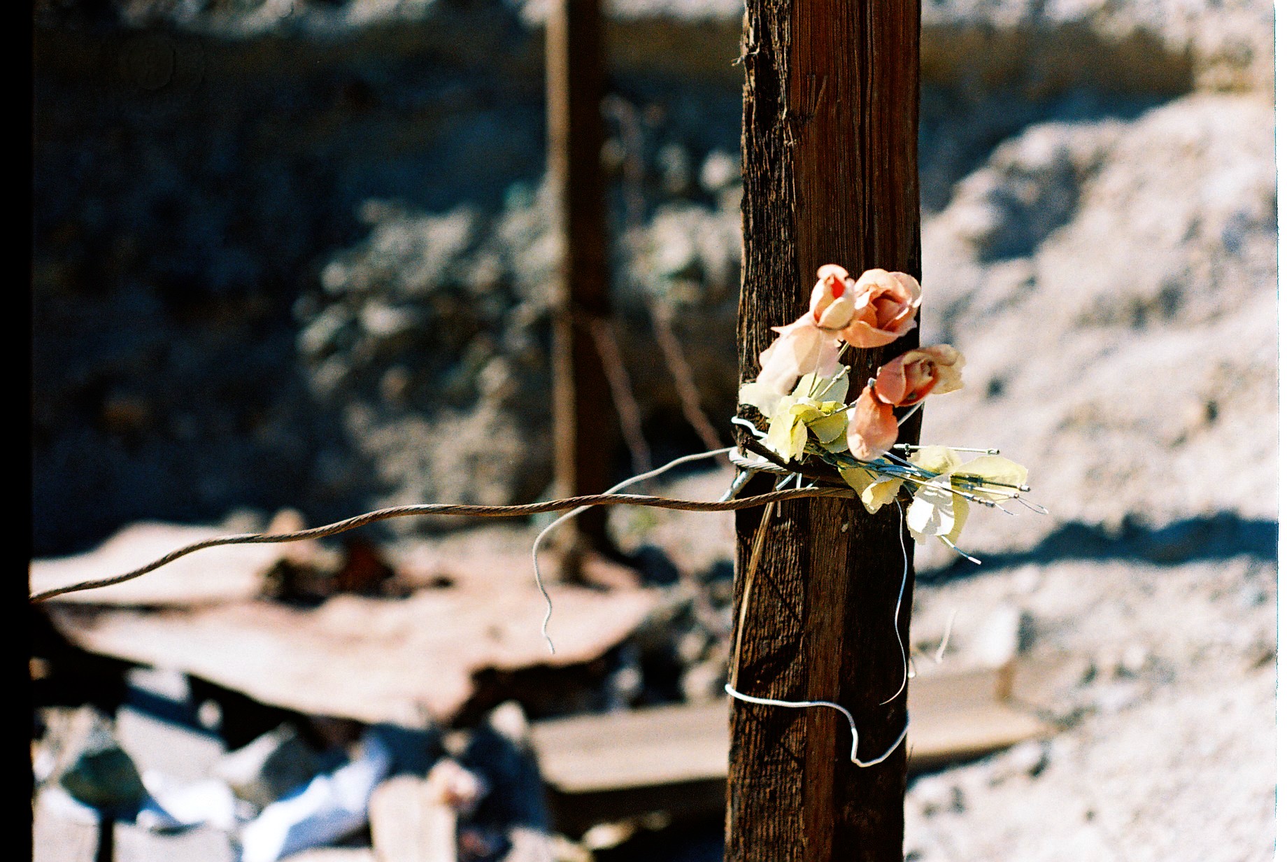 Veleidosa: La expo que establece relación entre la memoria, derechos humanos y fotografía