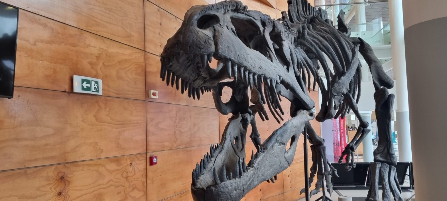 Invitan a establecimientos educacionales a exposición de dinosaurios en Copiapó
