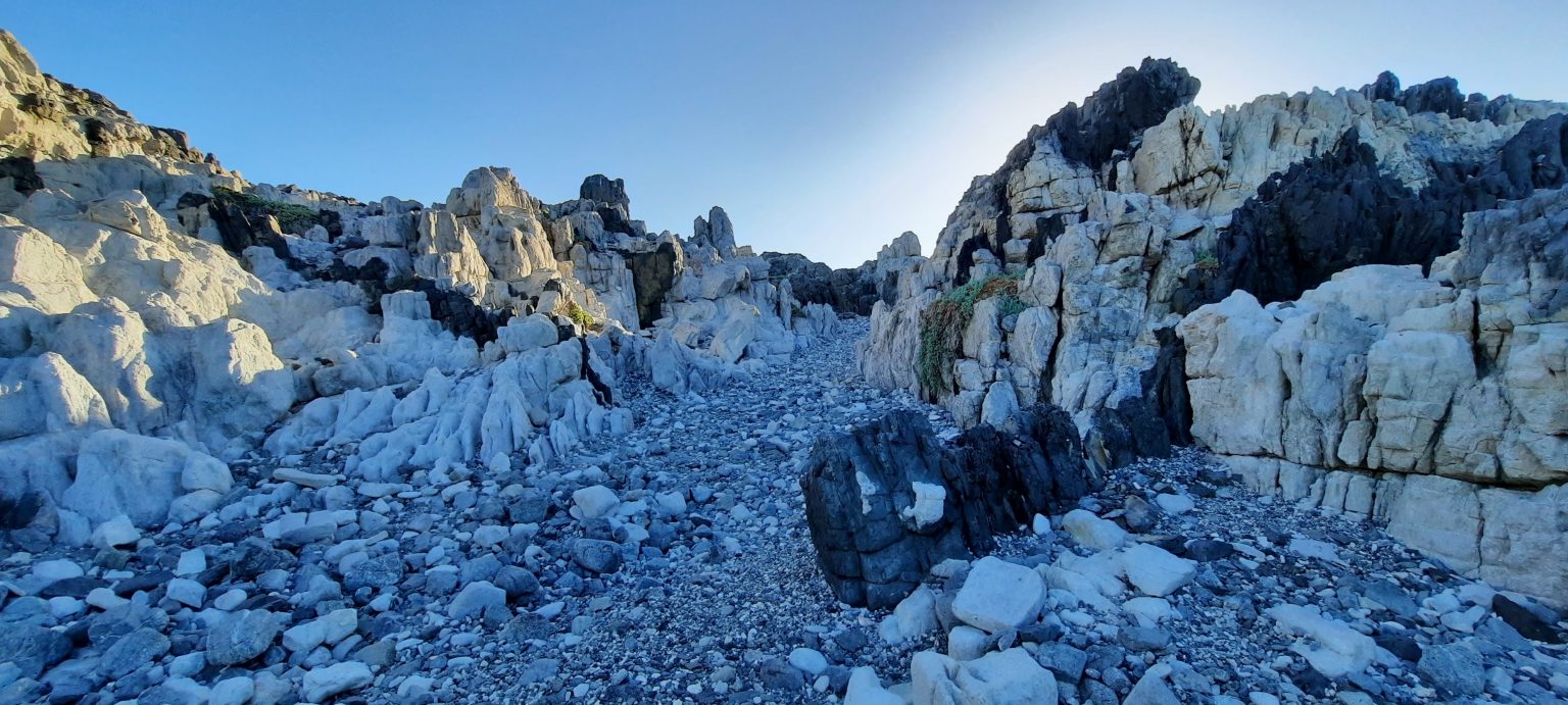 130 estudiantes participaron en curso de introducción a la investigación ambiental organizado por la R3ICA en Atacama