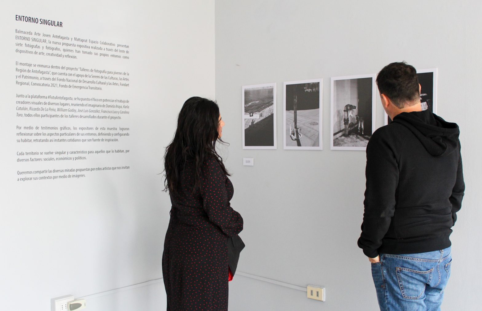 Entorno Singular: La expo virtual que nos muestra Antofagasta desde diversas miradas