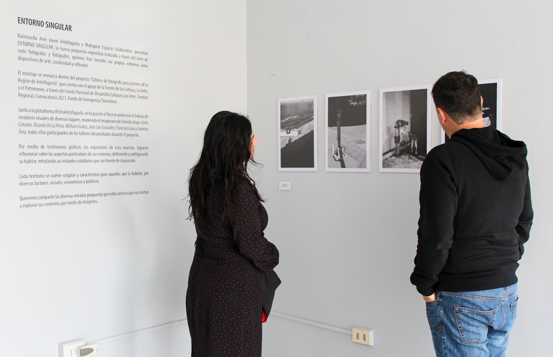 Entorno Singular: La expo virtual que nos muestra Antofagasta desde diversas miradas